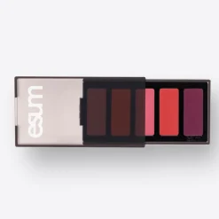esum The Artistry Blush Palette No9 ACCENTUATE