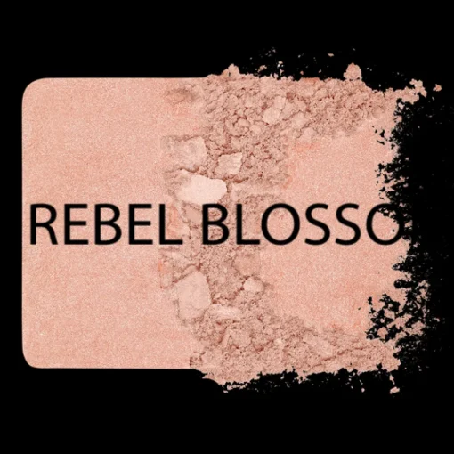MAKE UP FOR EVER ARTIST BLUSH
