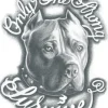 Tattooed Now! Temporary Tattoo - Pitbull - "Only The Strong Survive"