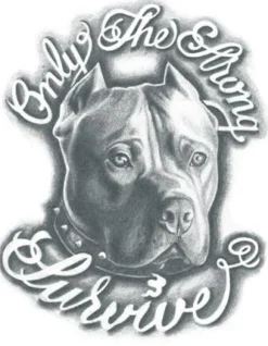 Tattooed Now! Temporary Tattoo - Pitbull - "Only The Strong Survive"
