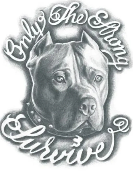 Tattooed Now! Temporary Tattoo - Pitbull - "Only The Strong Survive"